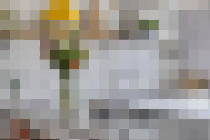 Reijershofstraat 23 Lent thumbnail 20