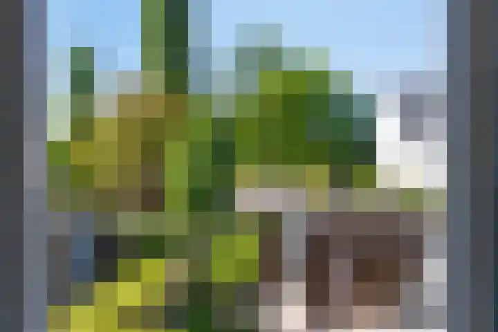 Reijershofstraat 23 Lent thumbnail 26