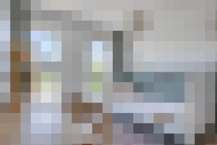 Reijershofstraat 23 Lent thumbnail 32