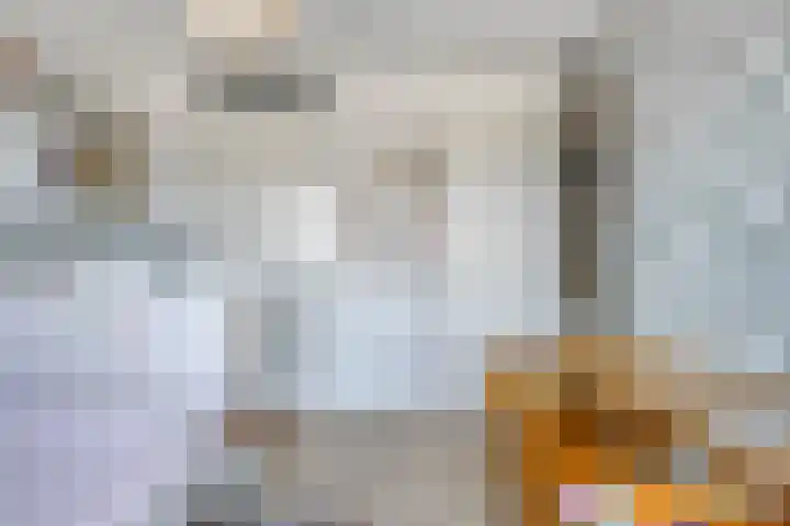 Reijershofstraat 23 Lent thumbnail 33