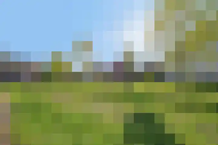 Reijershofstraat 23 Lent thumbnail 48