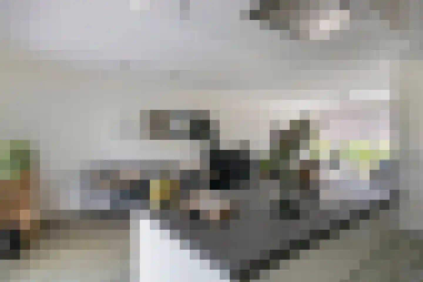 Reijershofstraat 35 Lent thumbnail 15