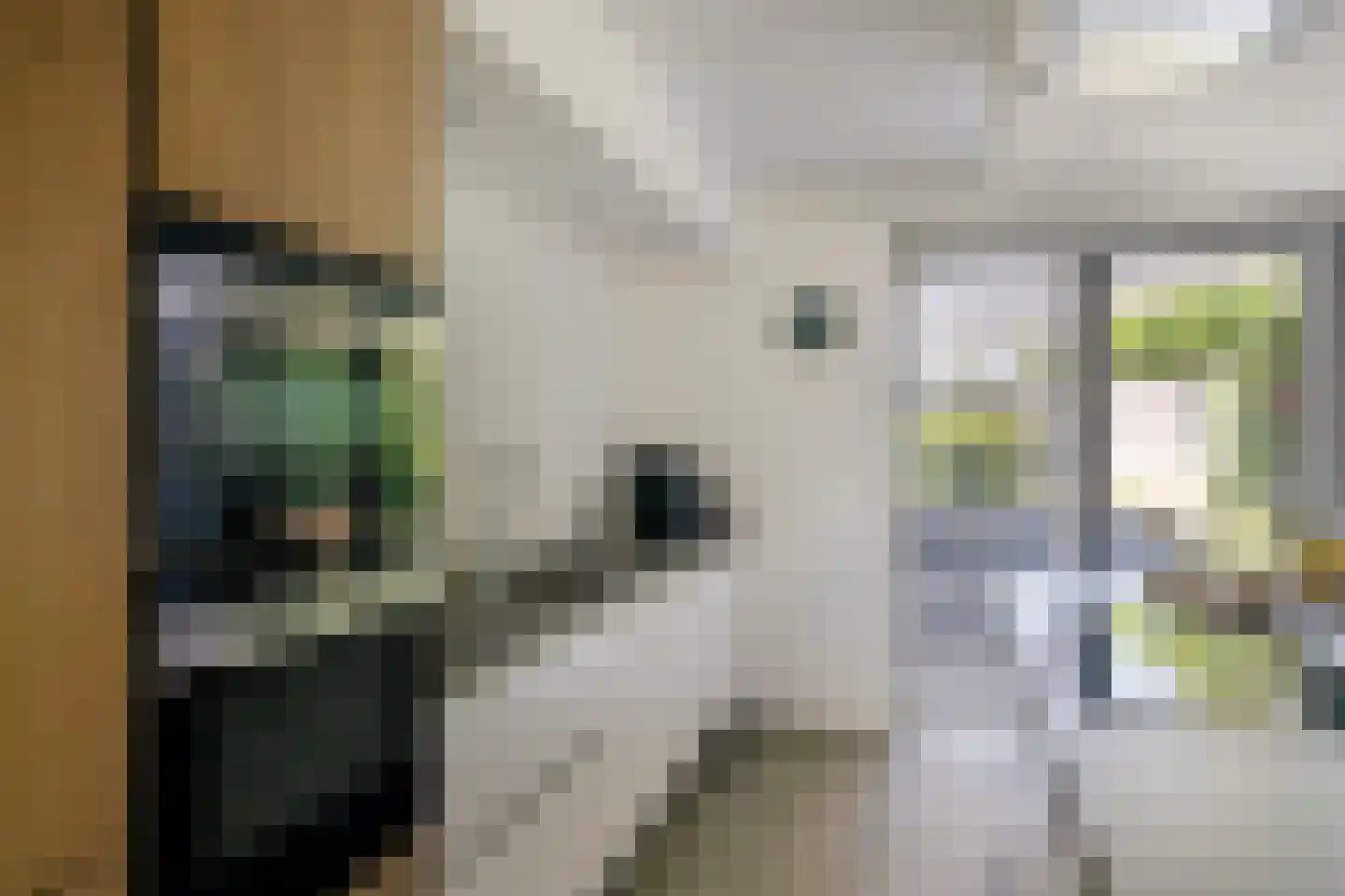 Reijershofstraat 35 Lent thumbnail 16