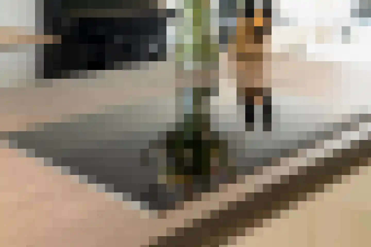 Reijershofstraat 35 Lent thumbnail 17