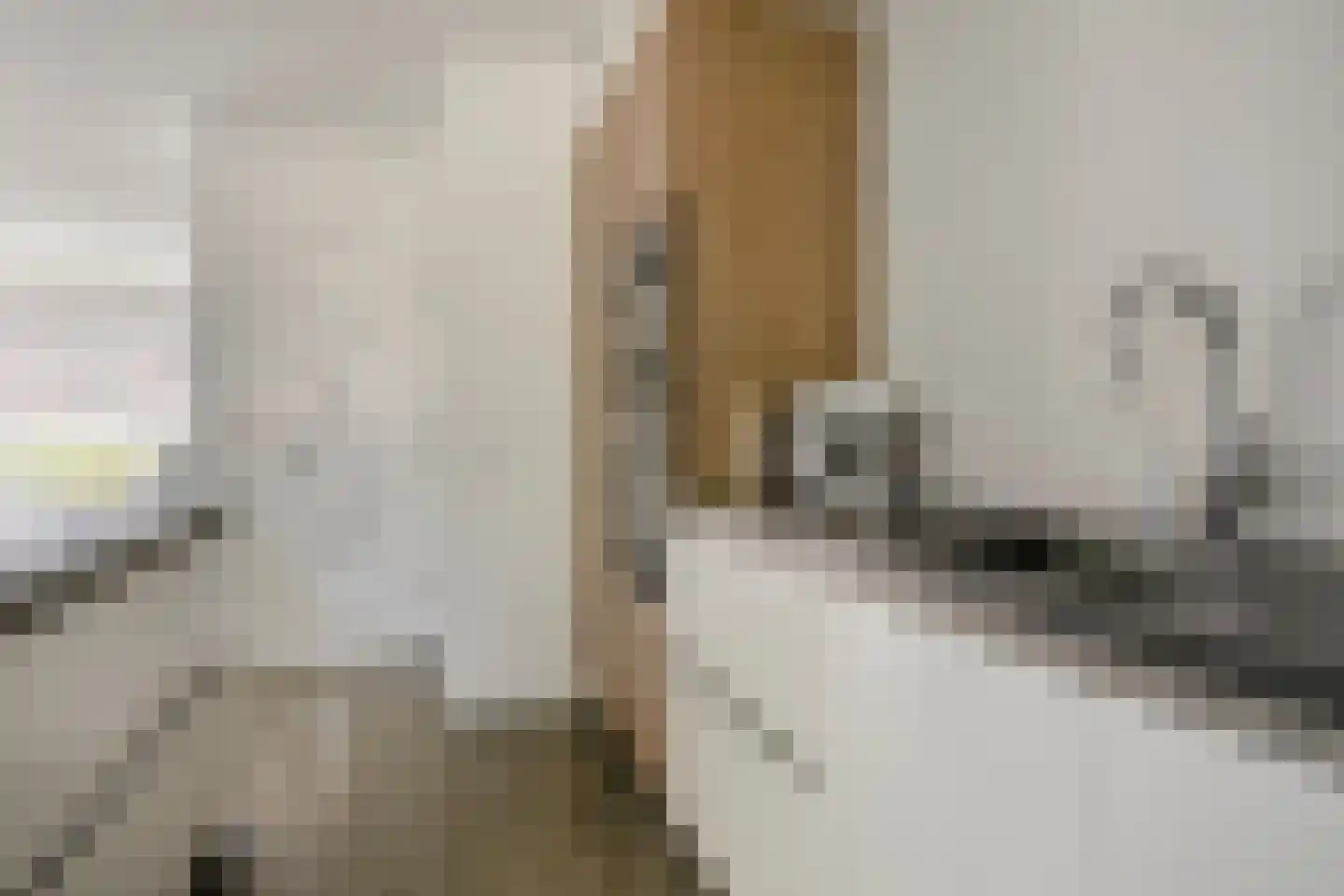 Reijershofstraat 35 Lent thumbnail 18
