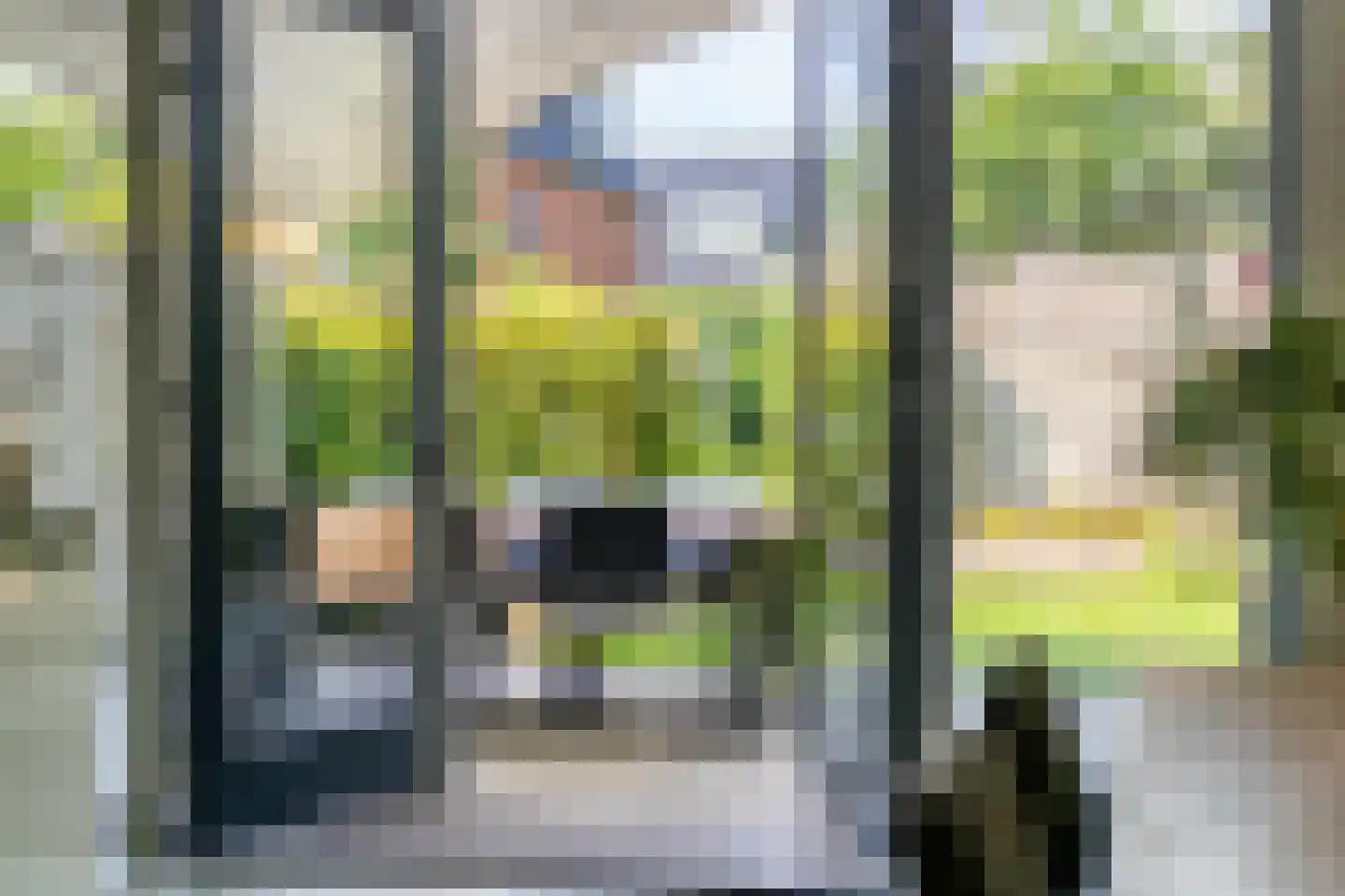 Reijershofstraat 35 Lent thumbnail 19