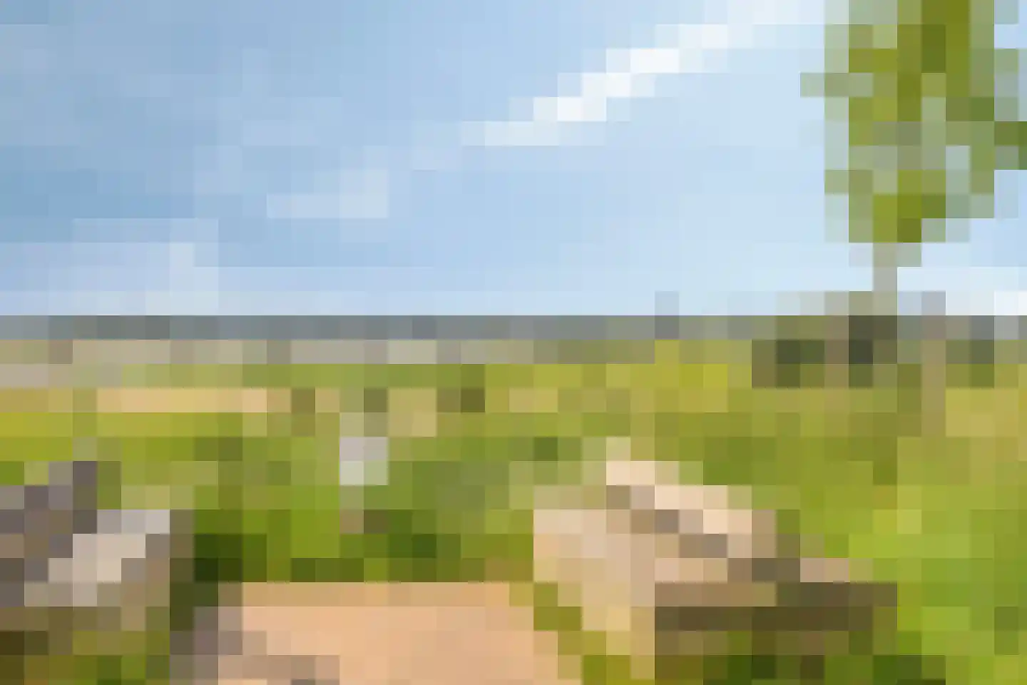 Reijershofstraat 35 Lent thumbnail 48