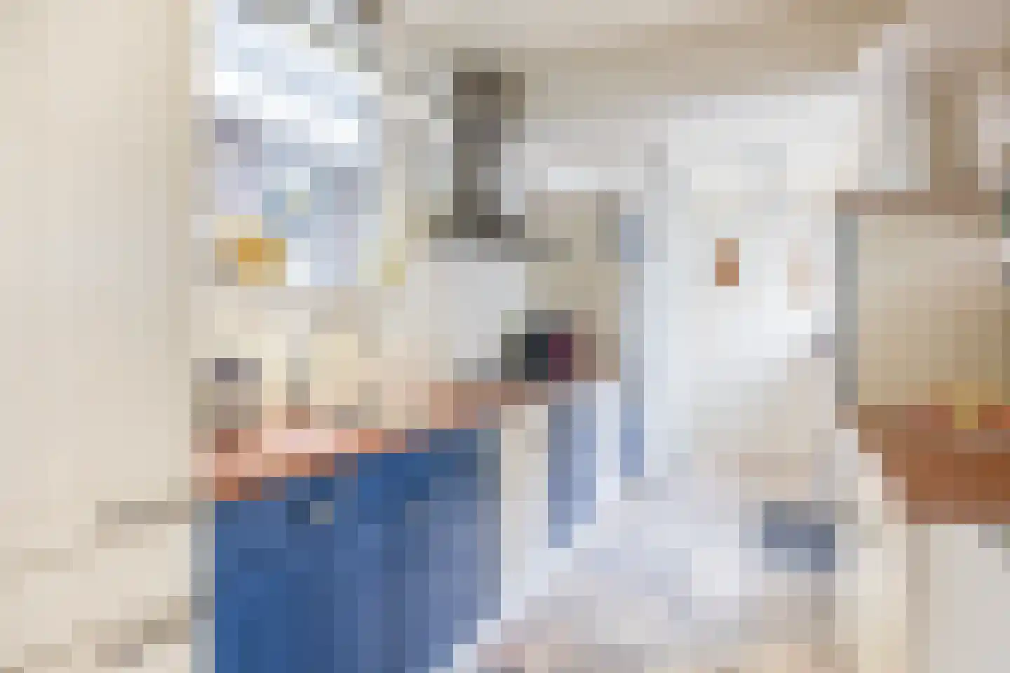 Reijerskoop 121 Boskoop thumbnail 13