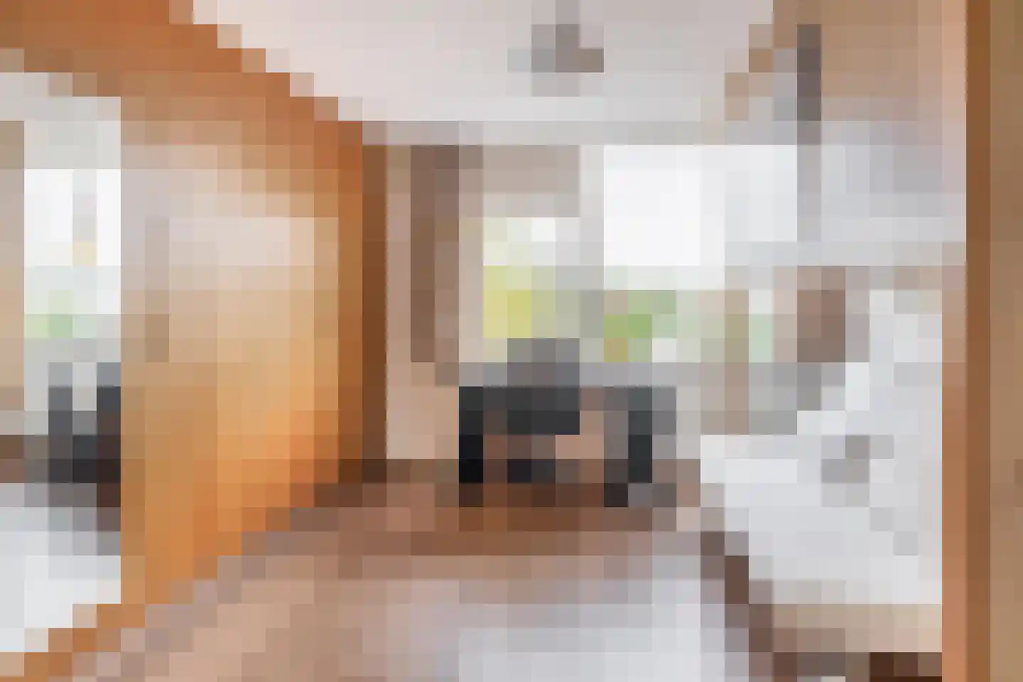 Reijerskoop 121 Boskoop thumbnail 19