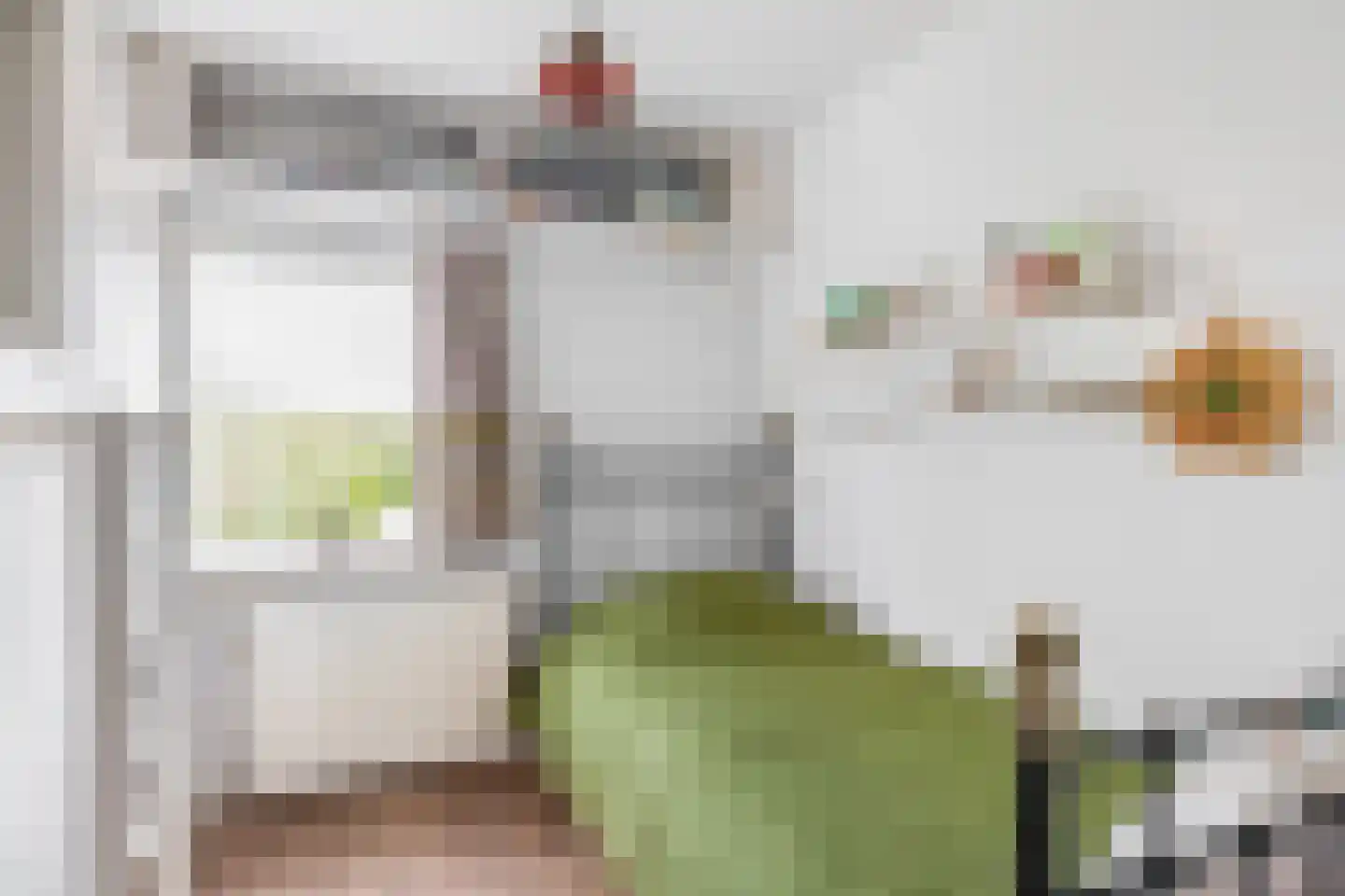 Reijerskoop 121 Boskoop thumbnail 20