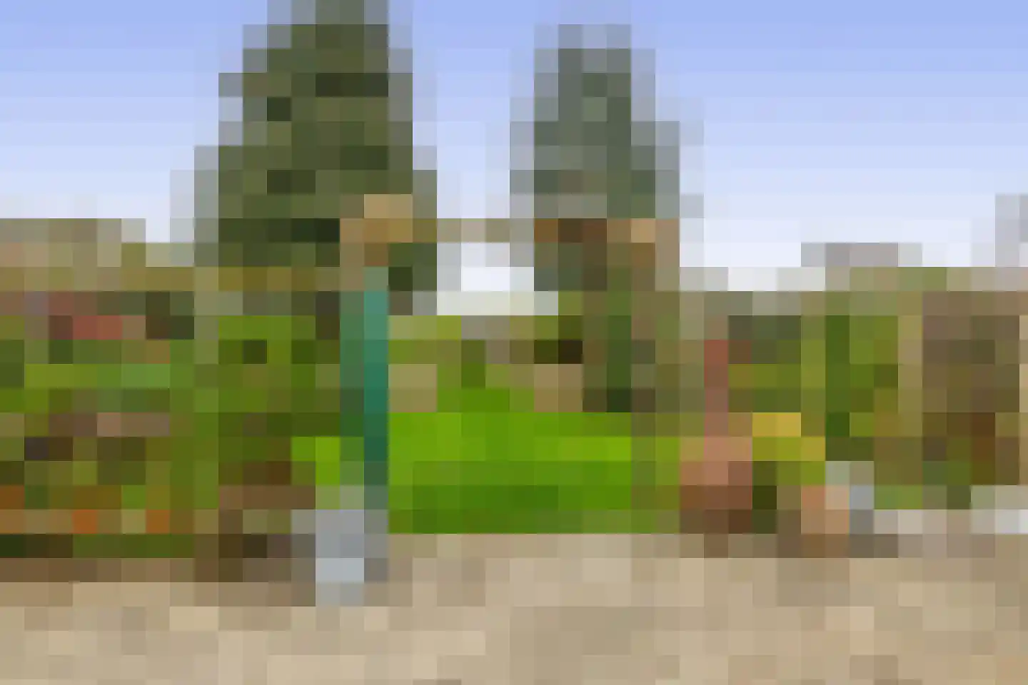 Reijerskoop 121 Boskoop thumbnail 29