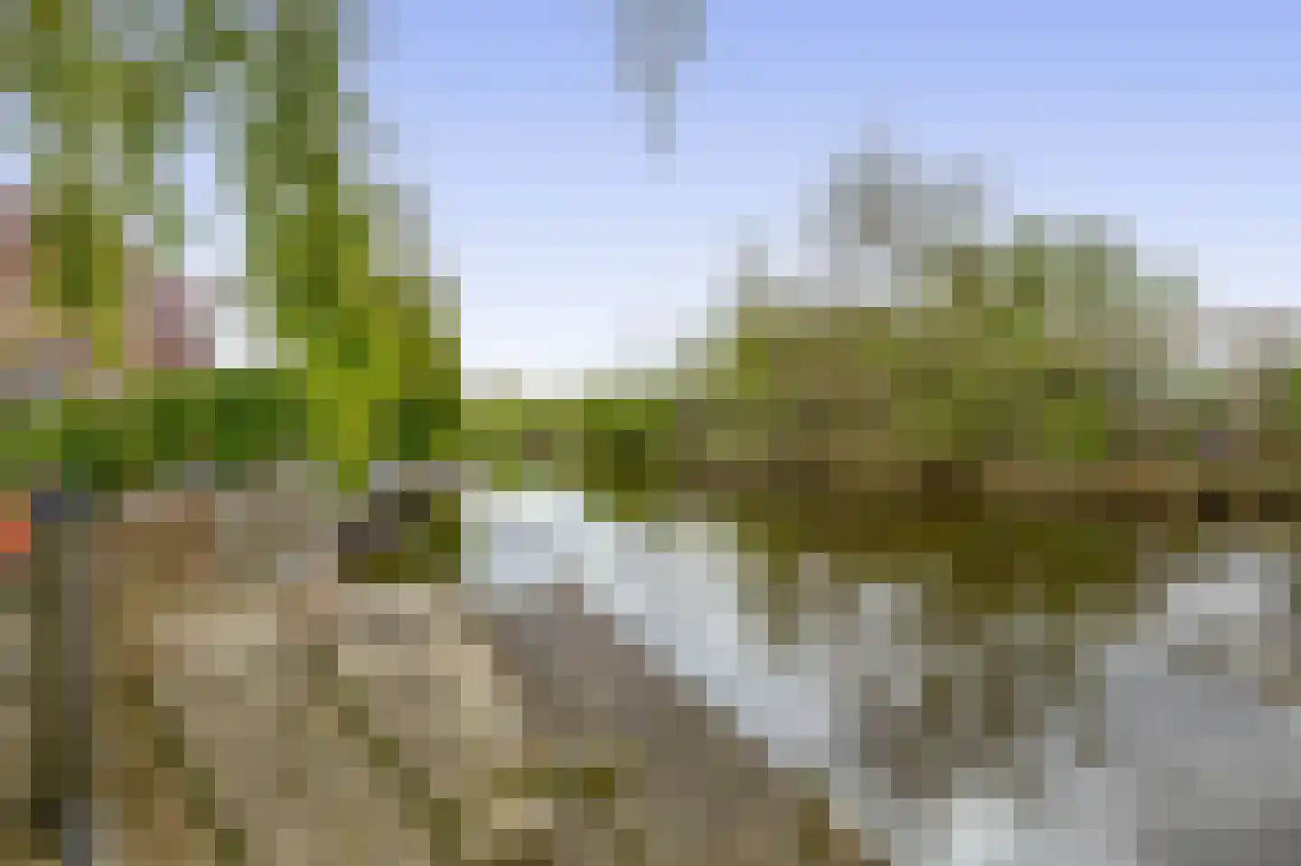 Reijerskoop 121 Boskoop thumbnail 31