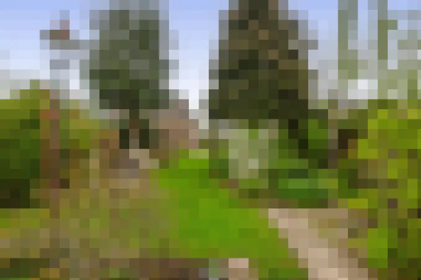 Reijerskoop 121 Boskoop thumbnail 33
