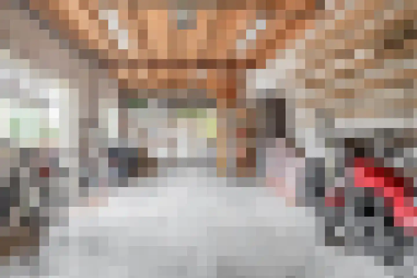 Reijerskoop 121 Boskoop thumbnail 37
