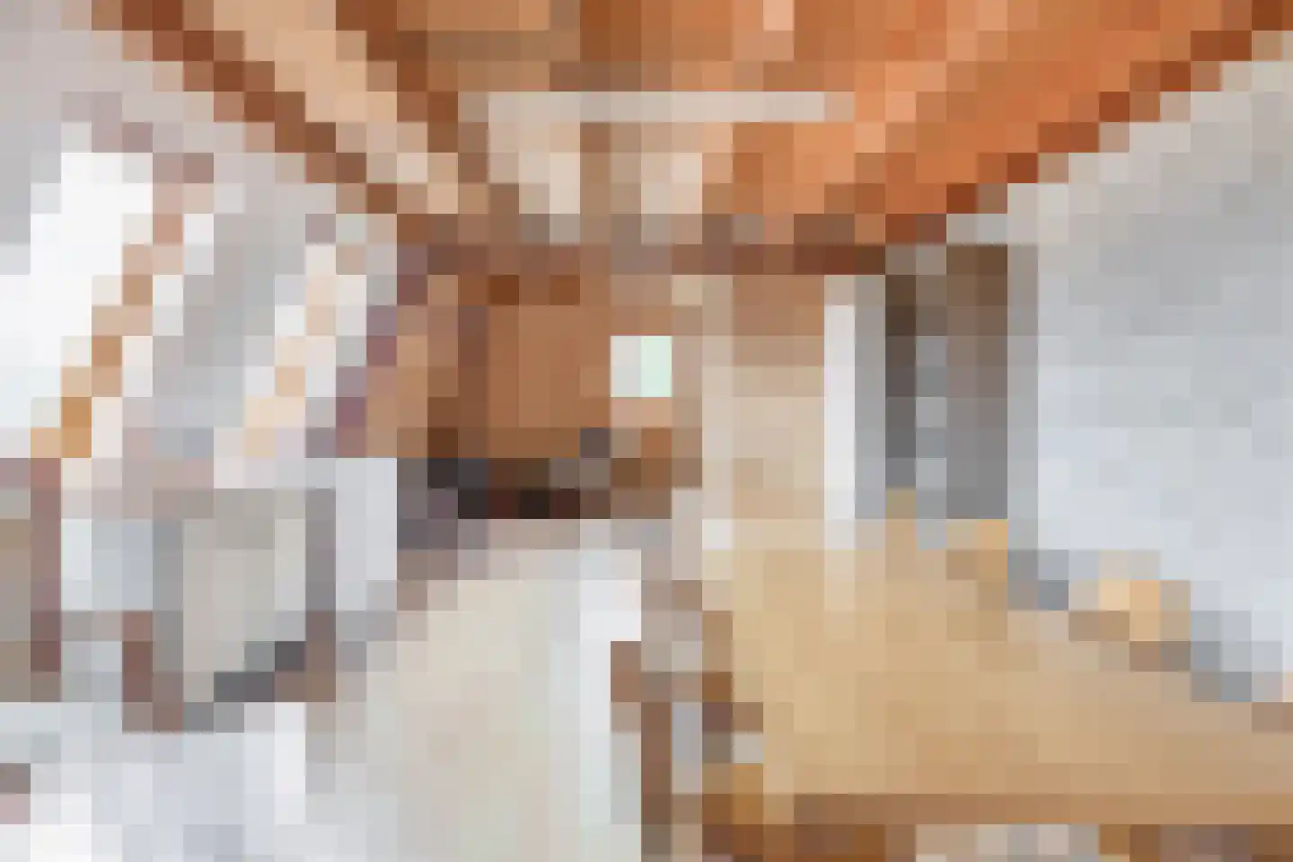 Reijerskoop 121 Boskoop thumbnail 40