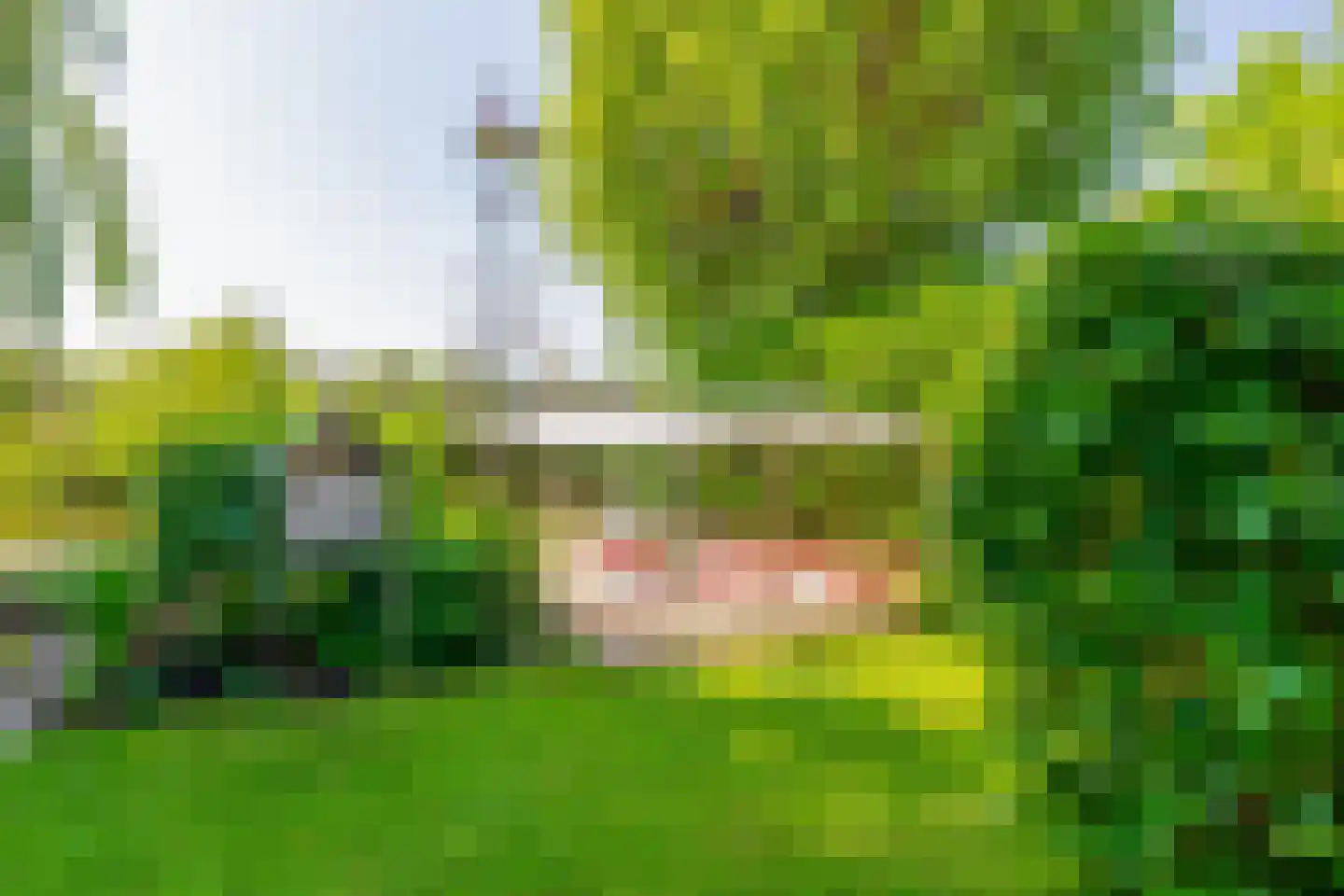 Reijerskoop 121 Boskoop thumbnail 44