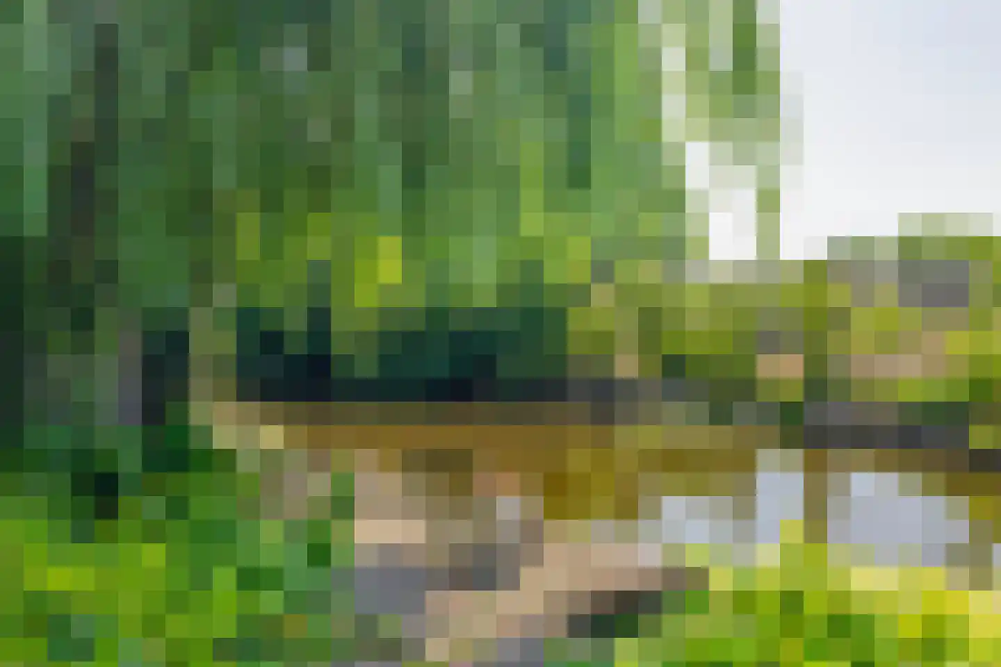 Reijerskoop 121 Boskoop thumbnail 45