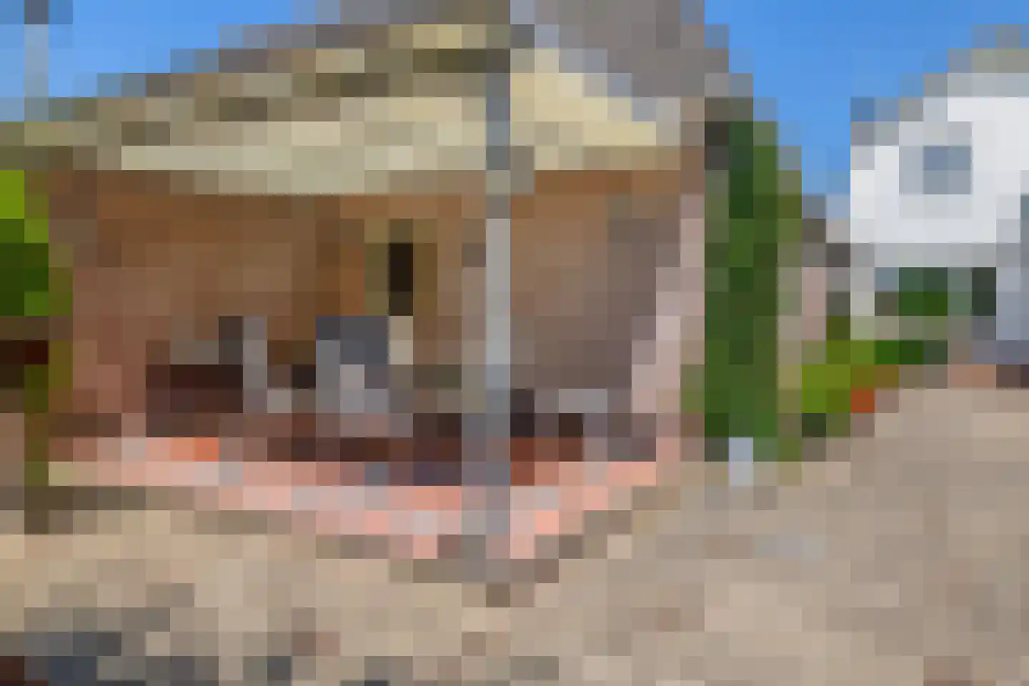 Reijerskoop 121 Boskoop thumbnail 51
