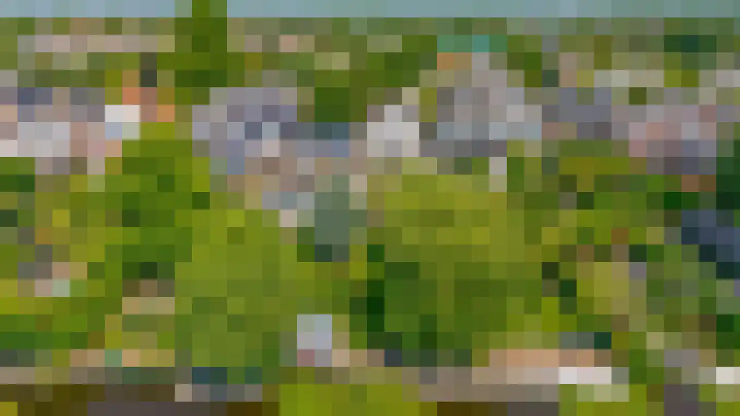 Reijerskoop 121 Boskoop thumbnail 52