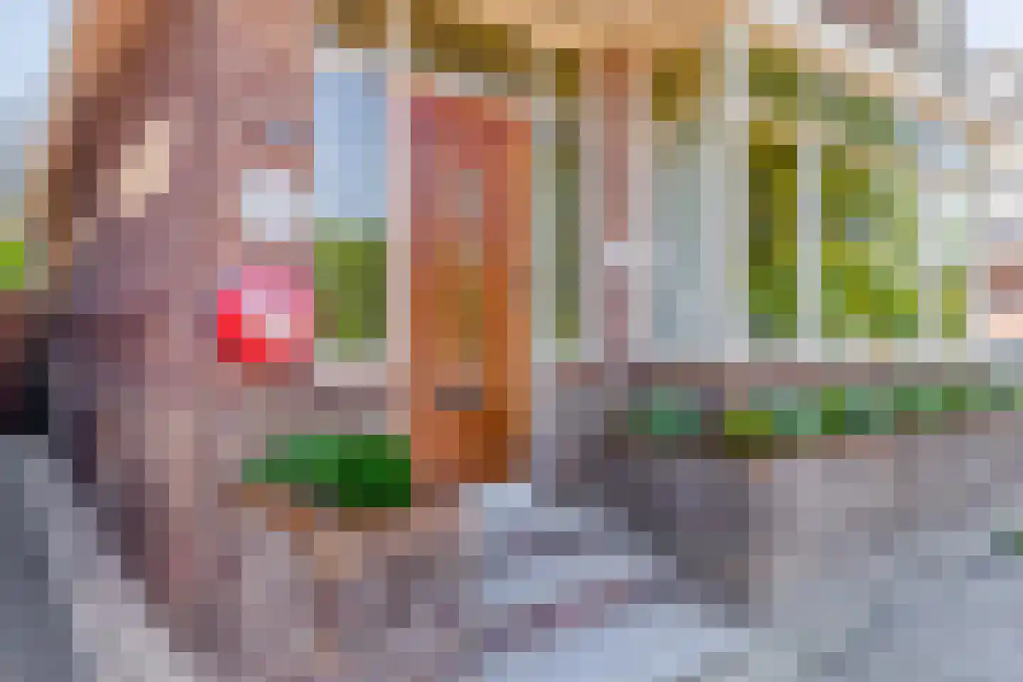 Reijerskoop 121 Boskoop thumbnail 64