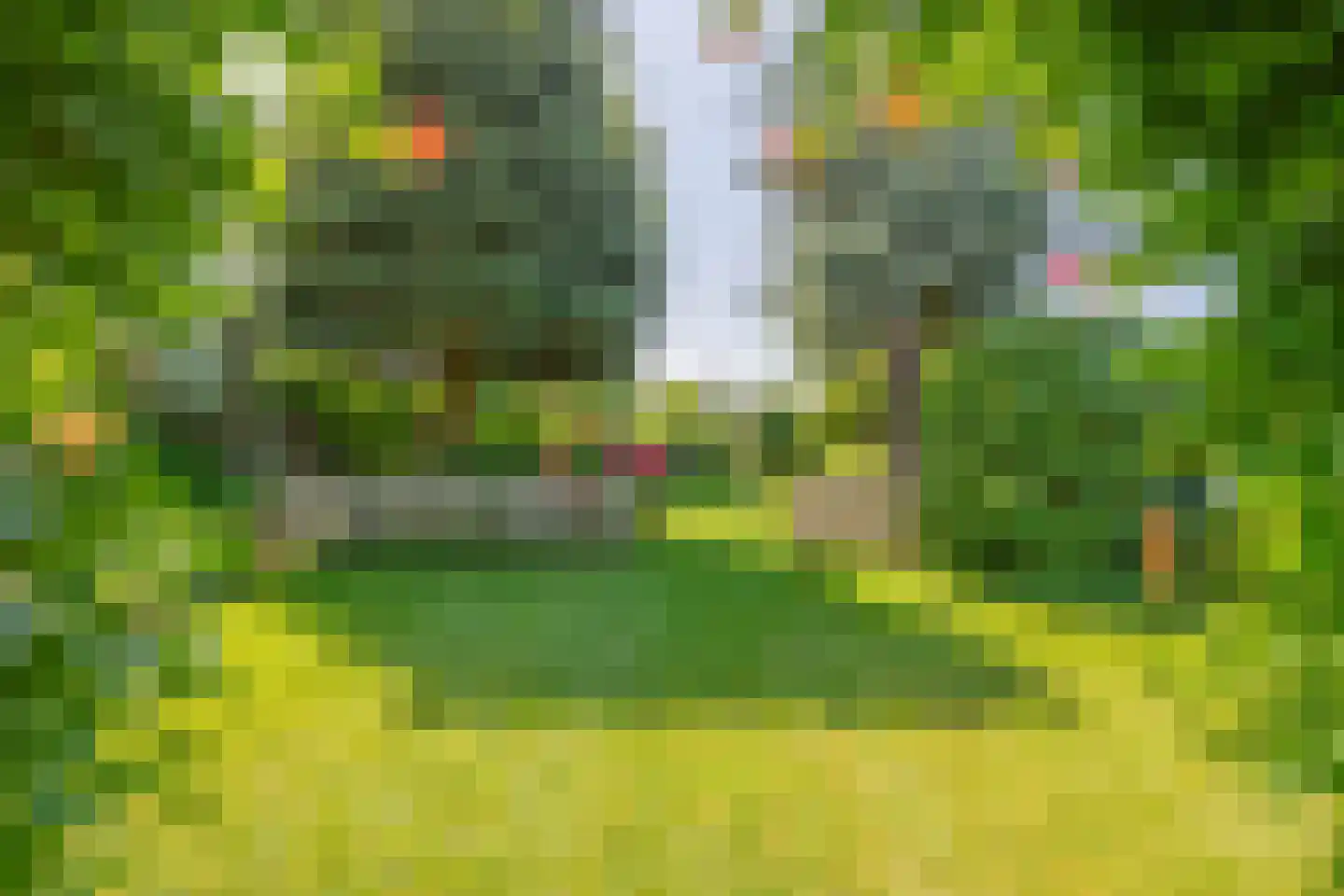 Reijerskoop 121 Boskoop thumbnail 69