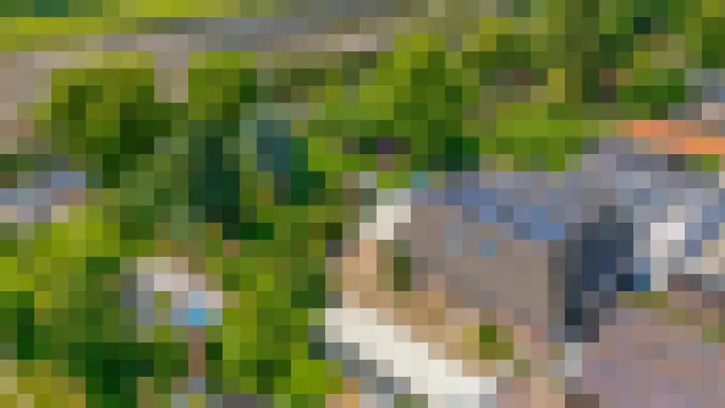 Reijerskoop 121 Boskoop thumbnail 71