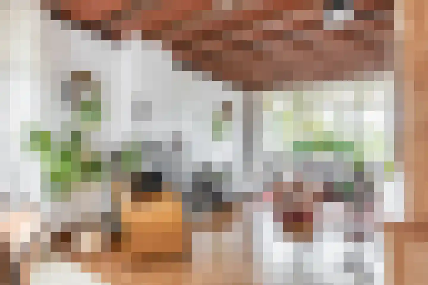 Reijerskoop 121 Boskoop thumbnail 8