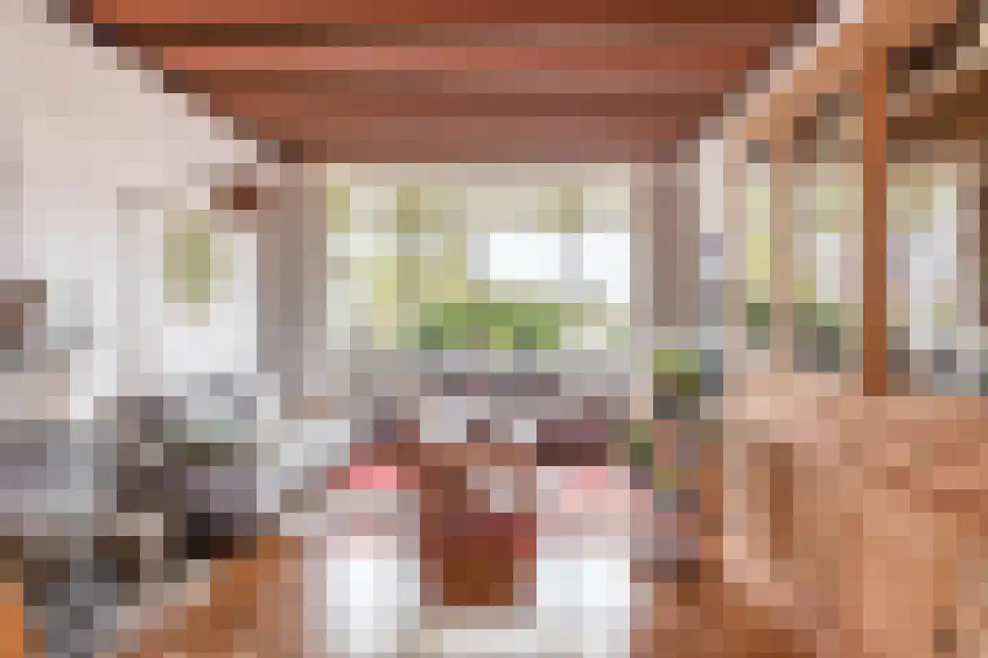 Reijerskoop 121 Boskoop thumbnail 9