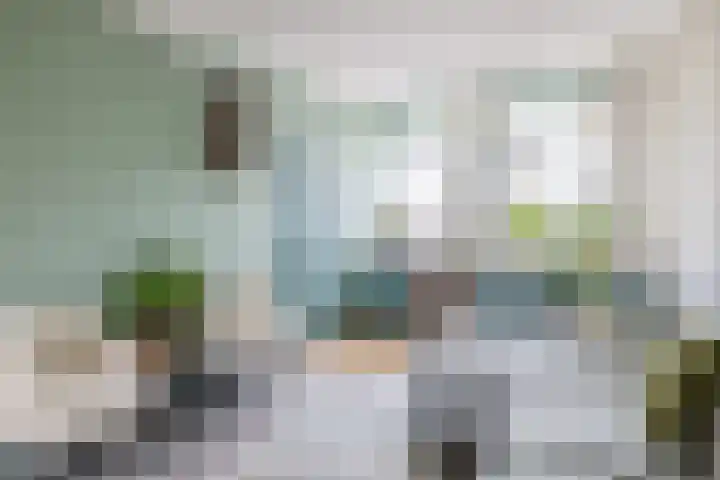 Reijerskoop 161 Boskoop thumbnail 10