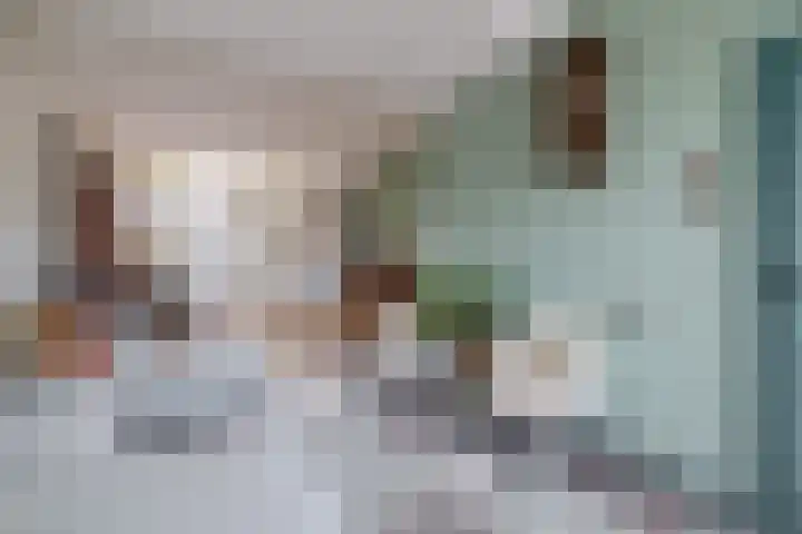 Reijerskoop 161 Boskoop thumbnail 12