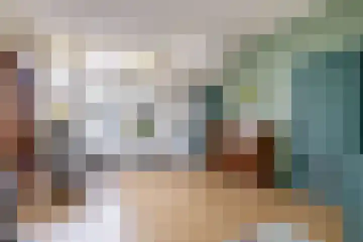 Reijerskoop 161 Boskoop thumbnail 13