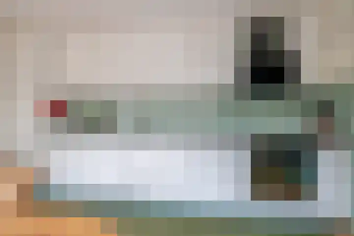 Reijerskoop 161 Boskoop thumbnail 16