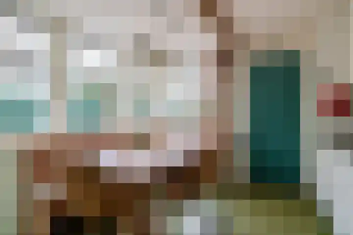 Reijerskoop 161 Boskoop thumbnail 18