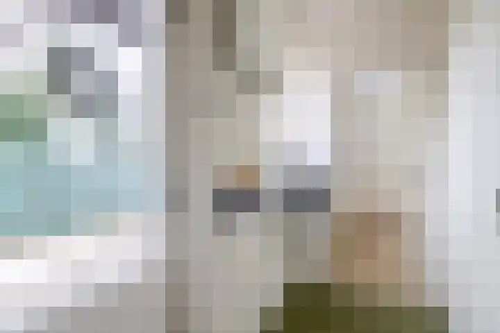 Reijerskoop 161 Boskoop thumbnail 20