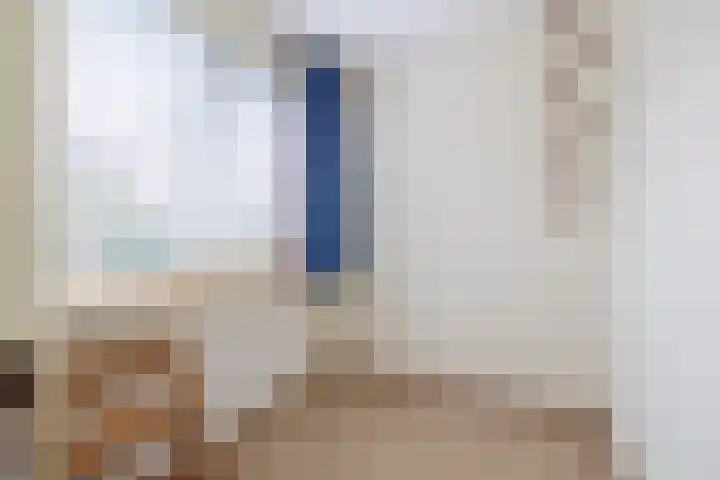 Reijerskoop 161 Boskoop thumbnail 21