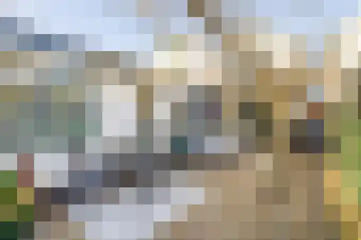Reijerskoop 161 Boskoop thumbnail 22