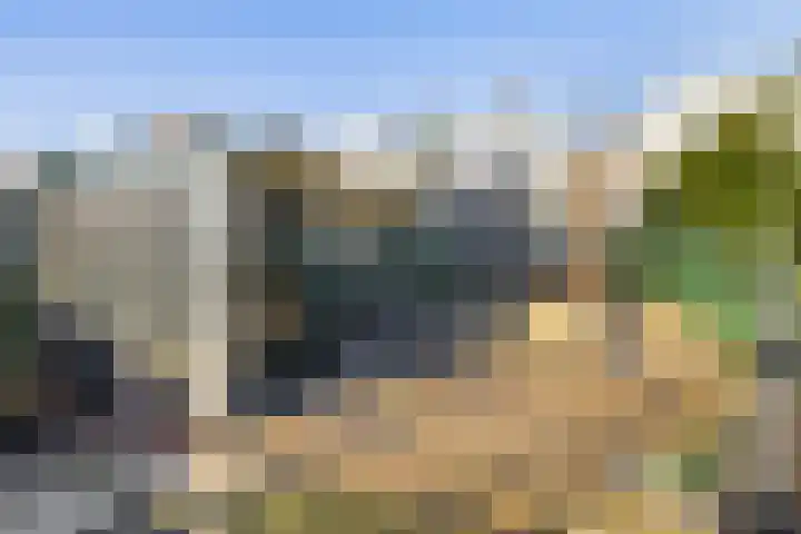Reijerskoop 161 Boskoop thumbnail 23