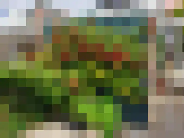 Reijerskoop 161 Boskoop thumbnail 24