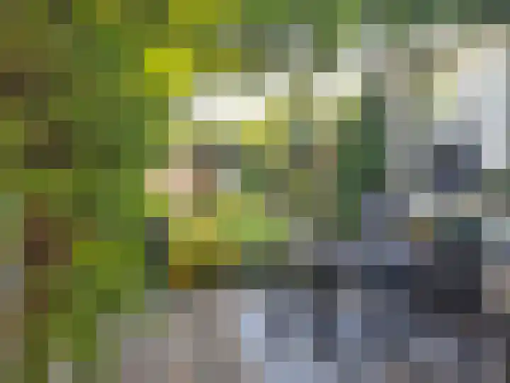 Reijerskoop 161 Boskoop thumbnail 25