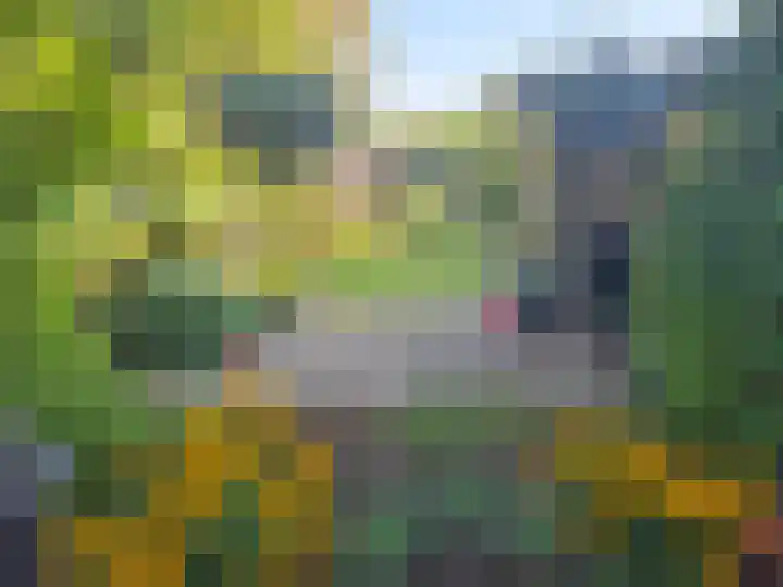 Reijerskoop 161 Boskoop thumbnail 26