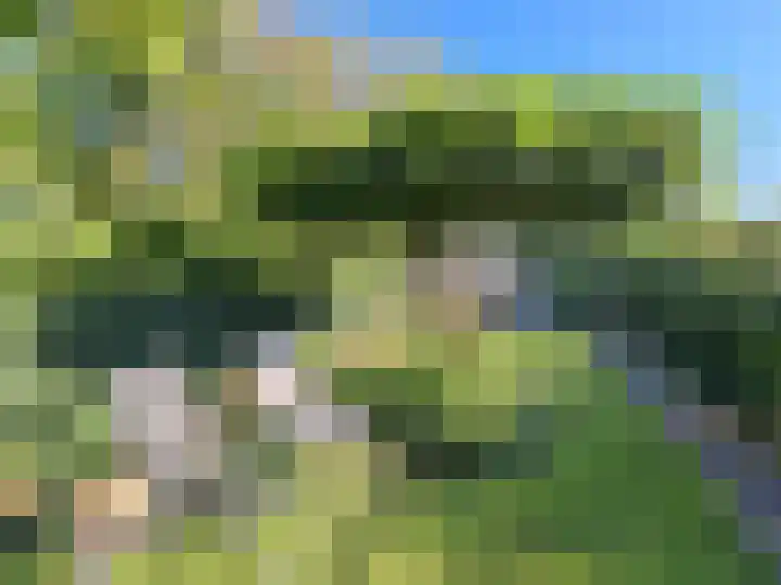Reijerskoop 161 Boskoop thumbnail 27