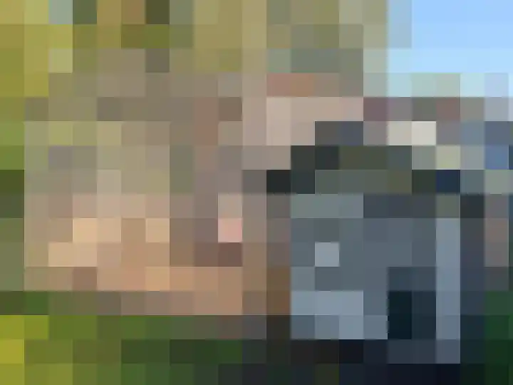 Reijerskoop 161 Boskoop thumbnail 29