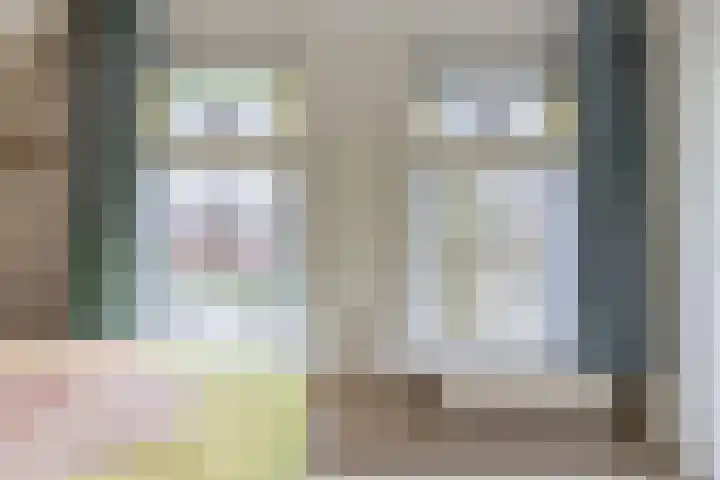 Reijerskoop 161 Boskoop thumbnail 34