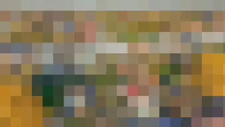 Reijerskoop 161 Boskoop thumbnail 4
