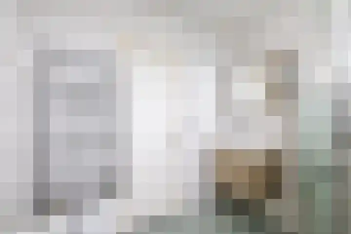 Reijerskoop 161 Boskoop thumbnail 41