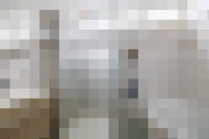 Reijerskoop 161 Boskoop thumbnail 42