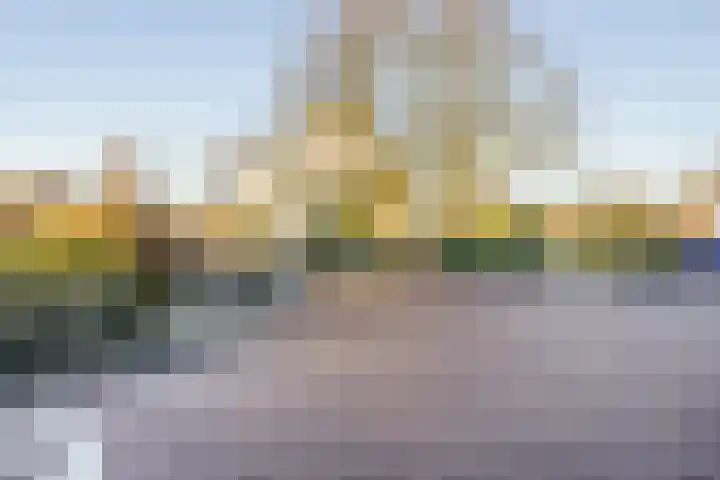Reijerskoop 161 Boskoop thumbnail 48