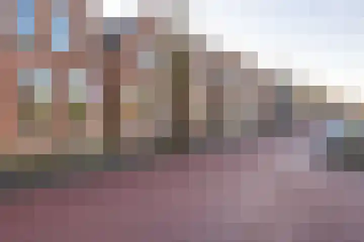 Reijerskoop 161 Boskoop thumbnail 5