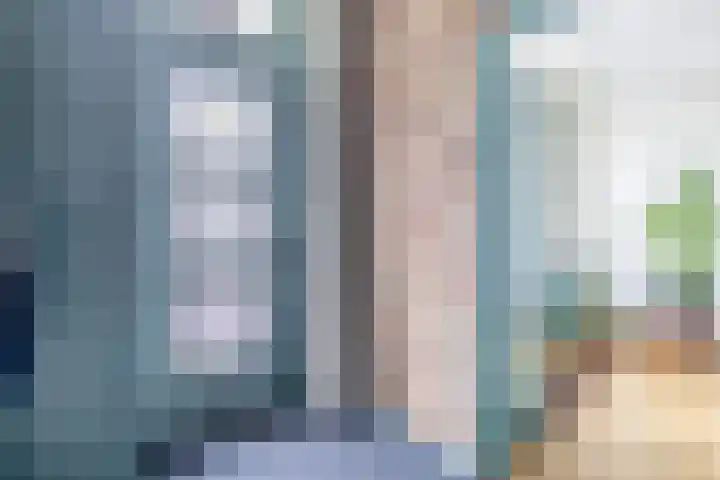 Reijerskoop 161 Boskoop thumbnail 7