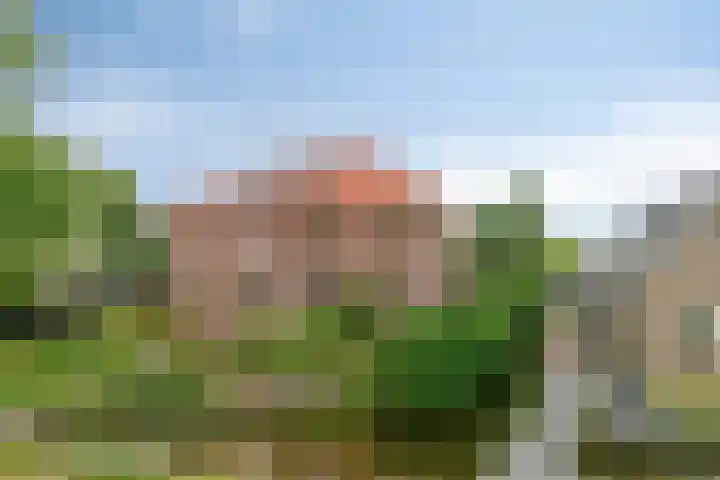 Reijerskoop 162 in Boskoop